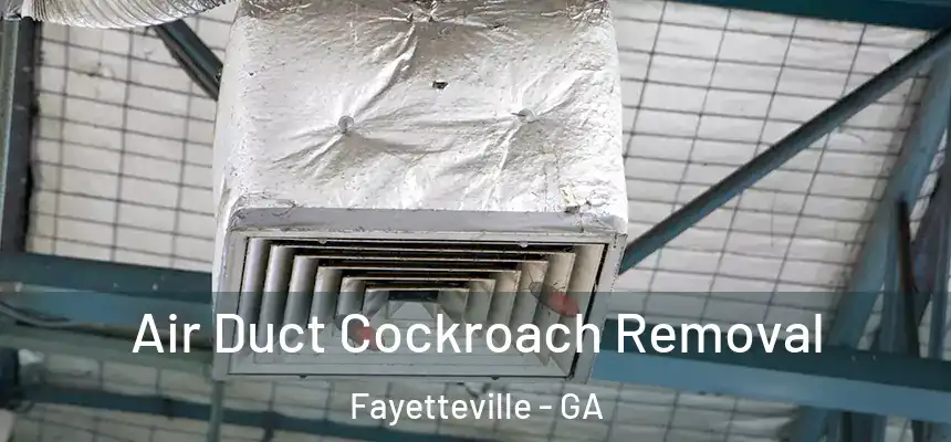 Air Duct Cockroach Removal Fayetteville - GA