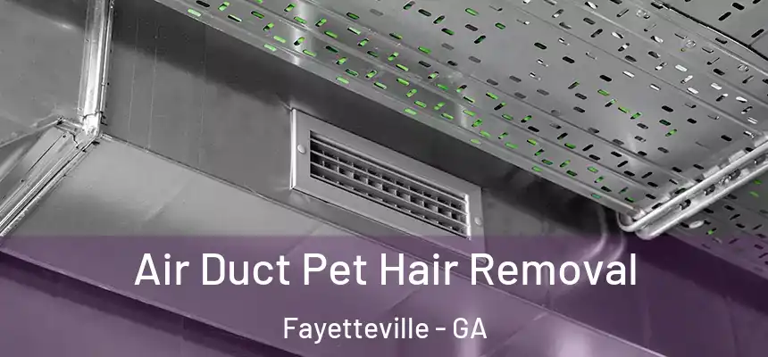 Air Duct Pet Hair Removal Fayetteville - GA