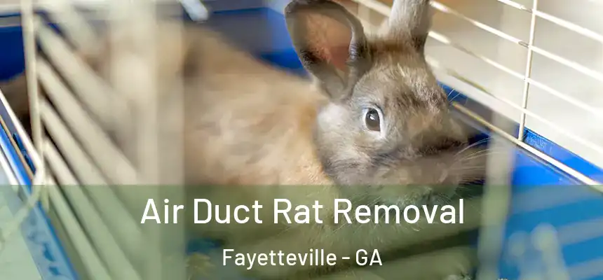  Air Duct Rat Removal Fayetteville - GA