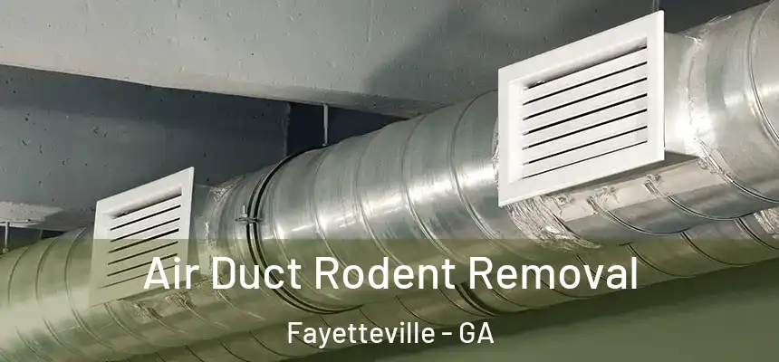 Air Duct Rodent Removal Fayetteville - GA