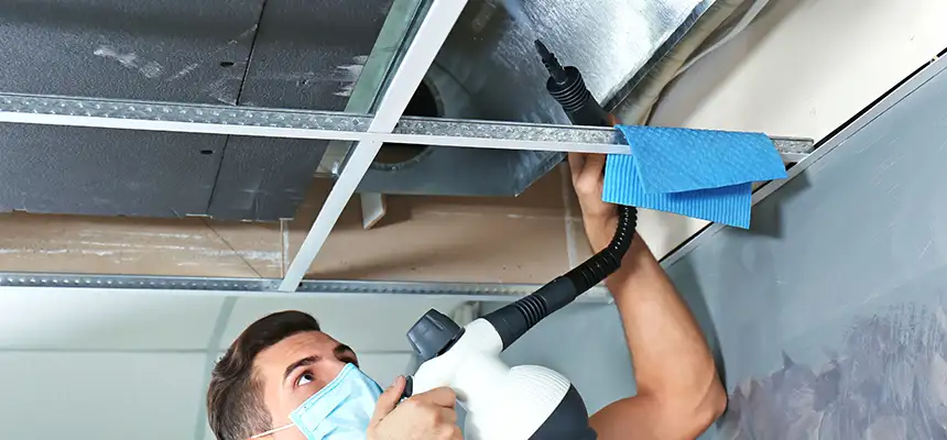 Our Air Duct Rodent Removal Services in Fayetteville, GA