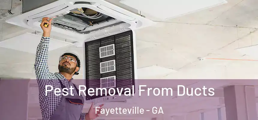 Pest Removal From Ducts Fayetteville - GA