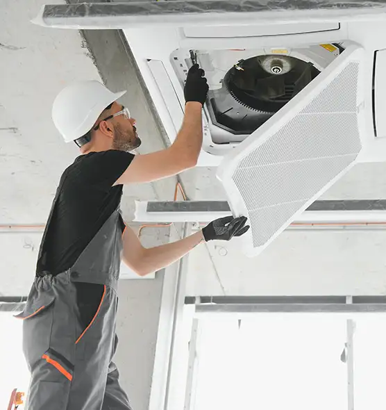 About Air Duct Rodent Removal in Fayetteville, GA