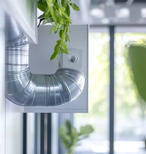 Professional Eco-Safe Dryer Vent Cleaning in Fayetteville, GA