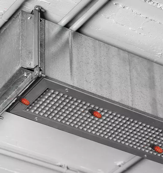 Affordable Insect Removal from Air Ducts in Fayetteville, GA