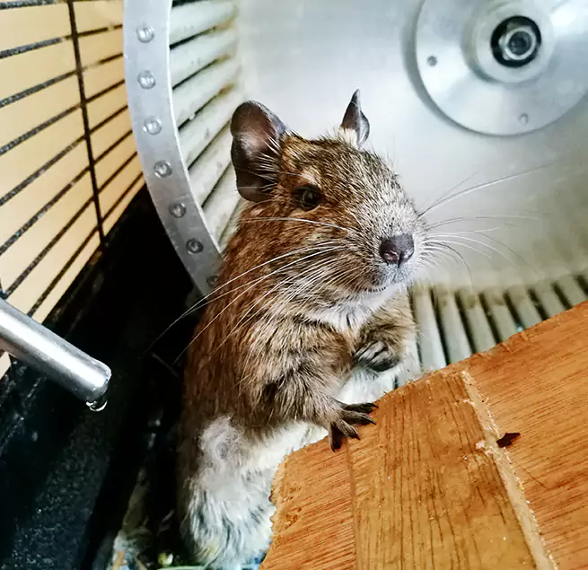 Why Homeowners & Businesses Trust Us Fayetteville, GA?