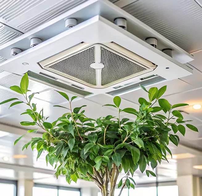 Why Homeowners & Businesses Trust Us in Fayetteville, GA?